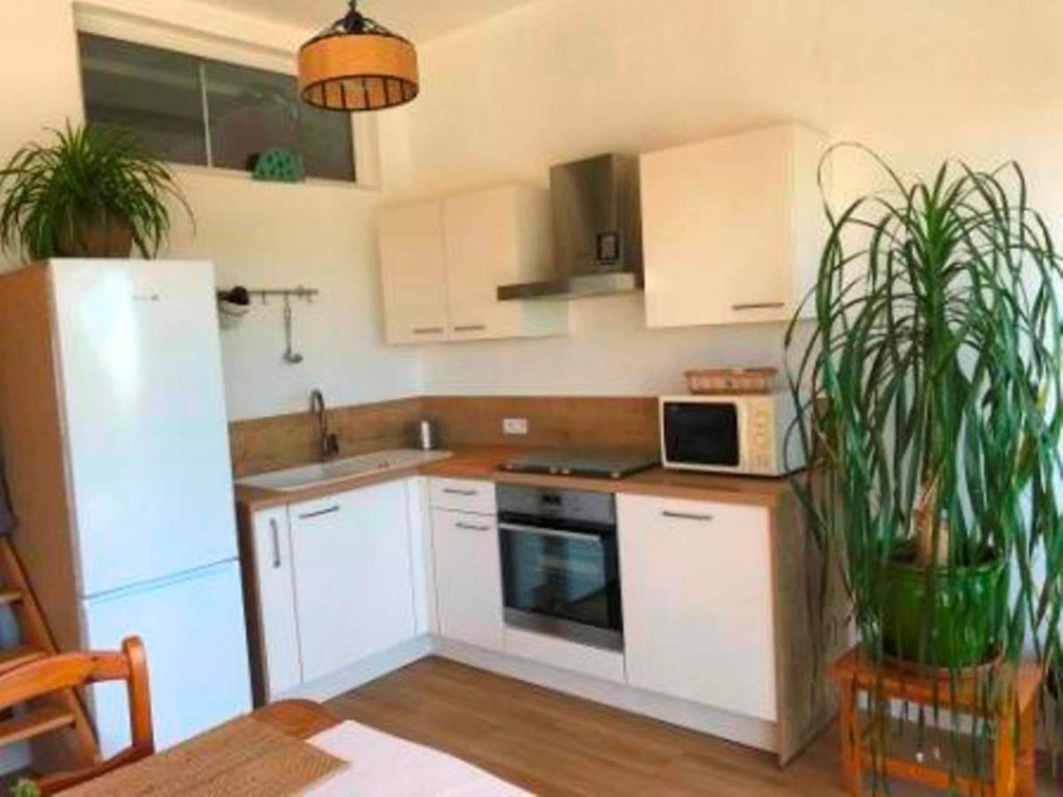 Villa Les Alizes Le Le Rayol-Canadel-sur-Mer Zewnętrze zdjęcie