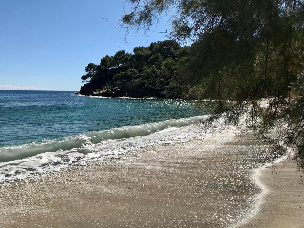 Villa Les Alizes Le Le Rayol-Canadel-sur-Mer Zewnętrze zdjęcie