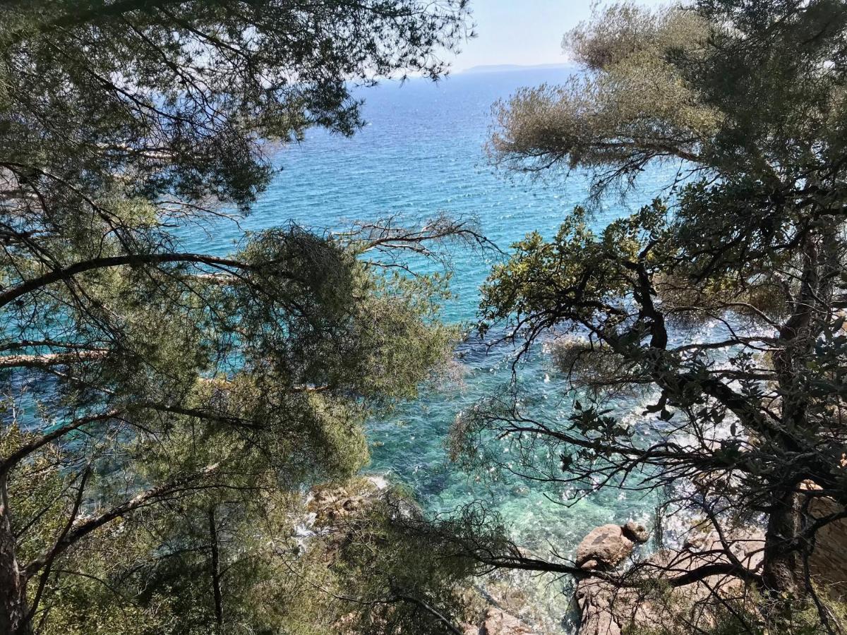 Villa Les Alizes Le Le Rayol-Canadel-sur-Mer Zewnętrze zdjęcie