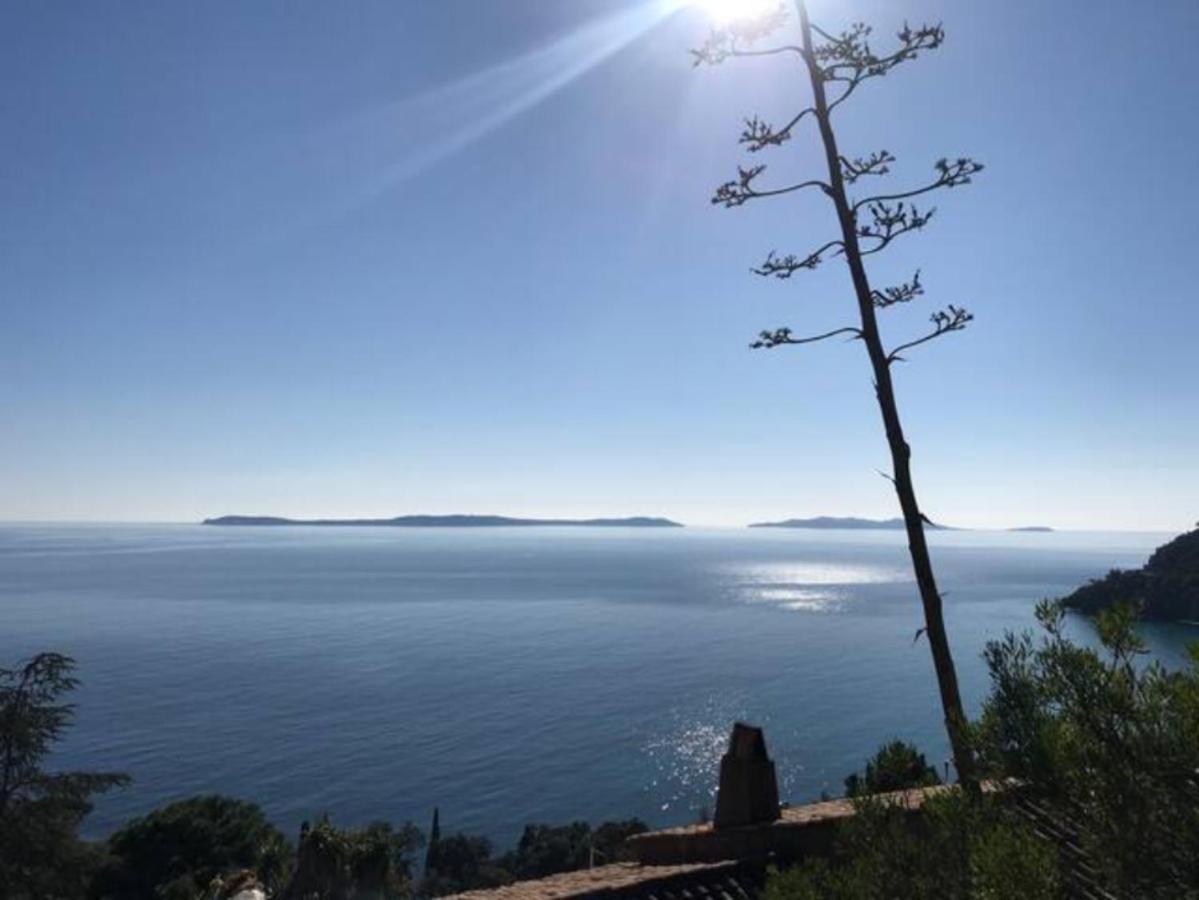 Villa Les Alizes Le Le Rayol-Canadel-sur-Mer Zewnętrze zdjęcie