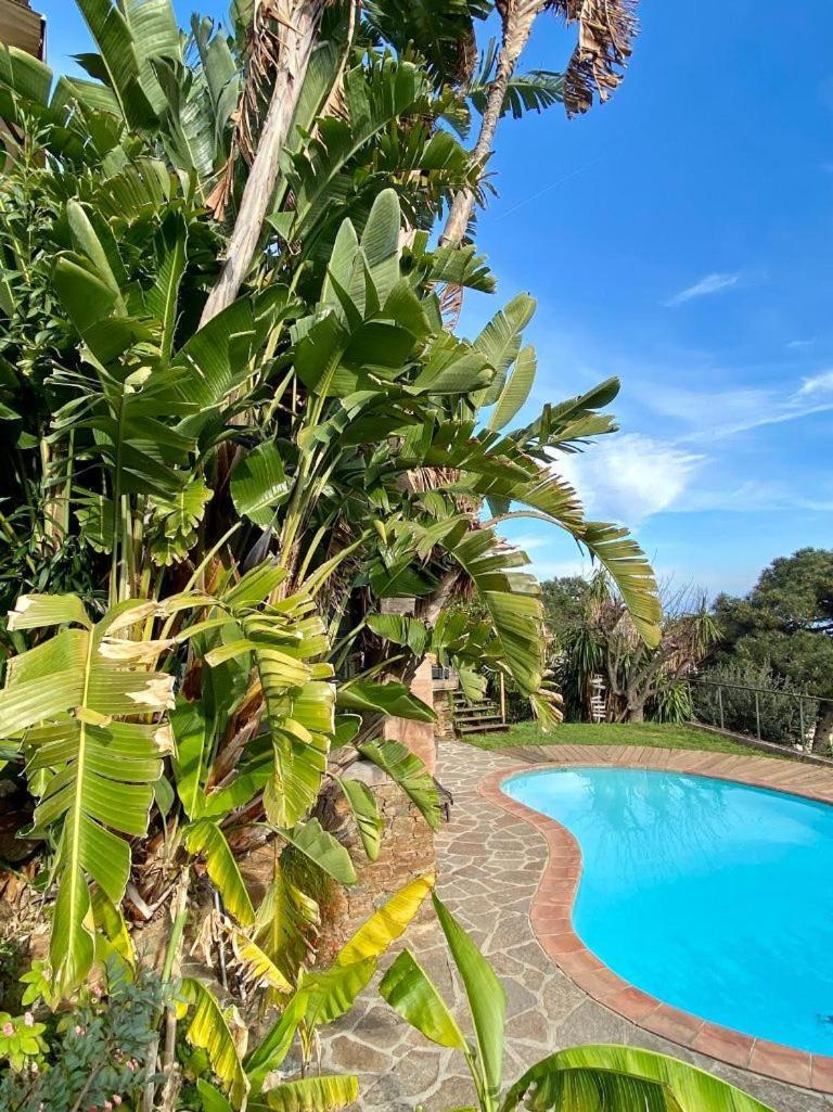 Villa Les Alizes Le Le Rayol-Canadel-sur-Mer Zewnętrze zdjęcie