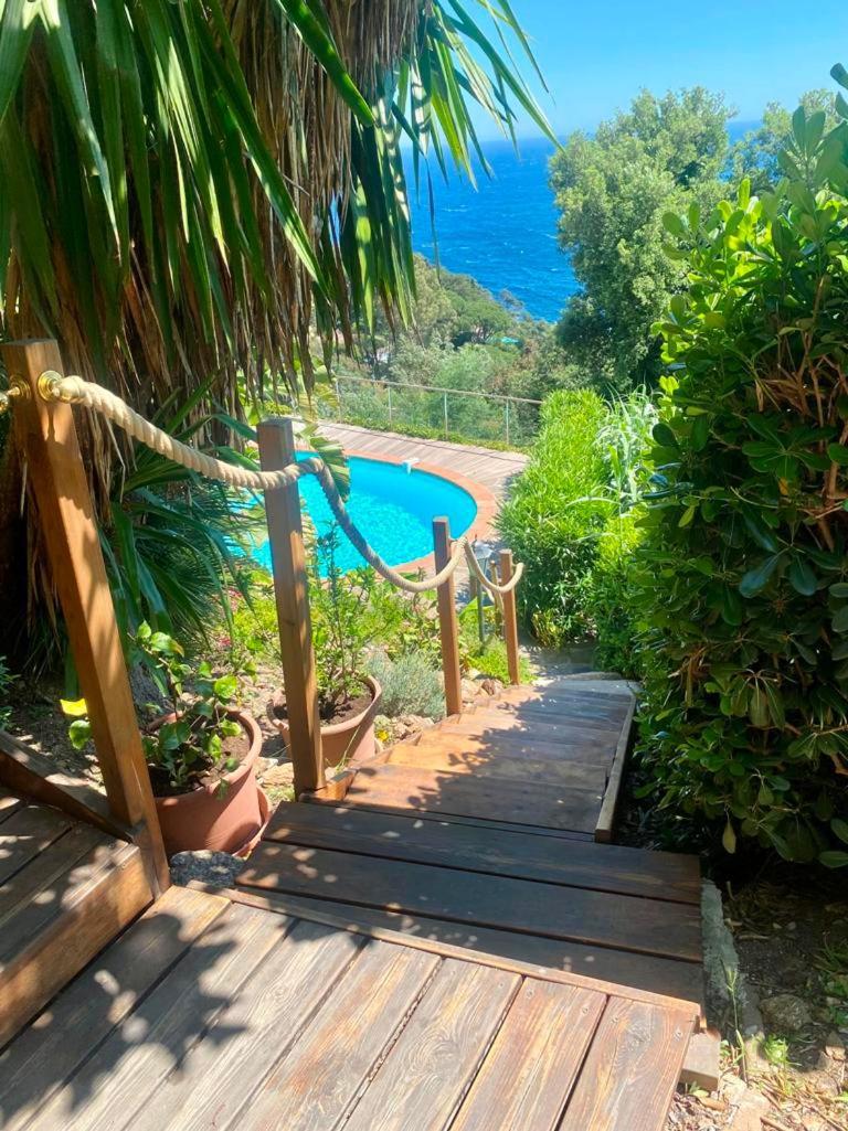 Villa Les Alizes Le Le Rayol-Canadel-sur-Mer Zewnętrze zdjęcie